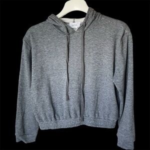 Soft Fleece Gray Cropped Hoodie, S